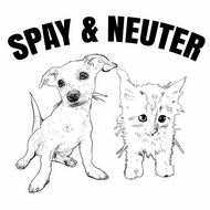 SPAY & NEUTER